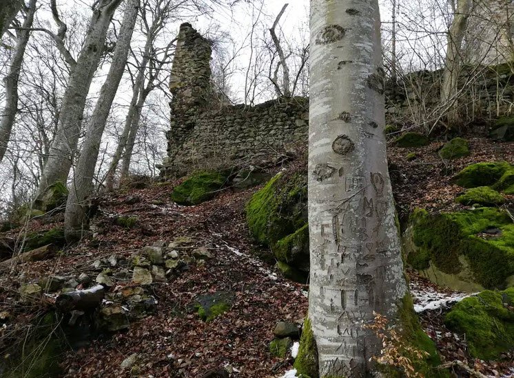 Burgruine Neuhewen, Germany